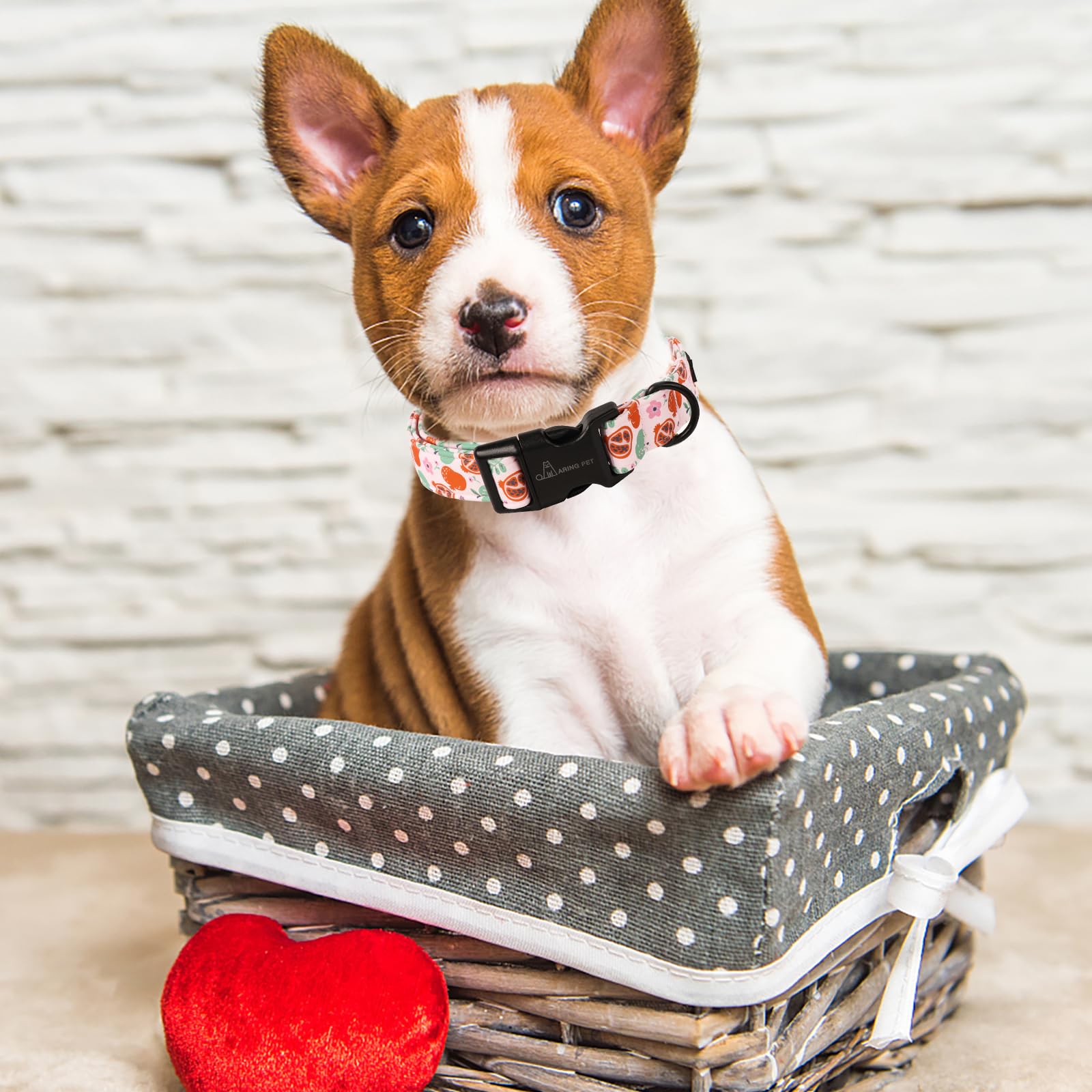 Aring Pet Fall Dog Collar-Cute Pink Small Dog Collar, Adjustable Pomegranate&Apple Print Pet Collars Puppy Collar With Quick Rel