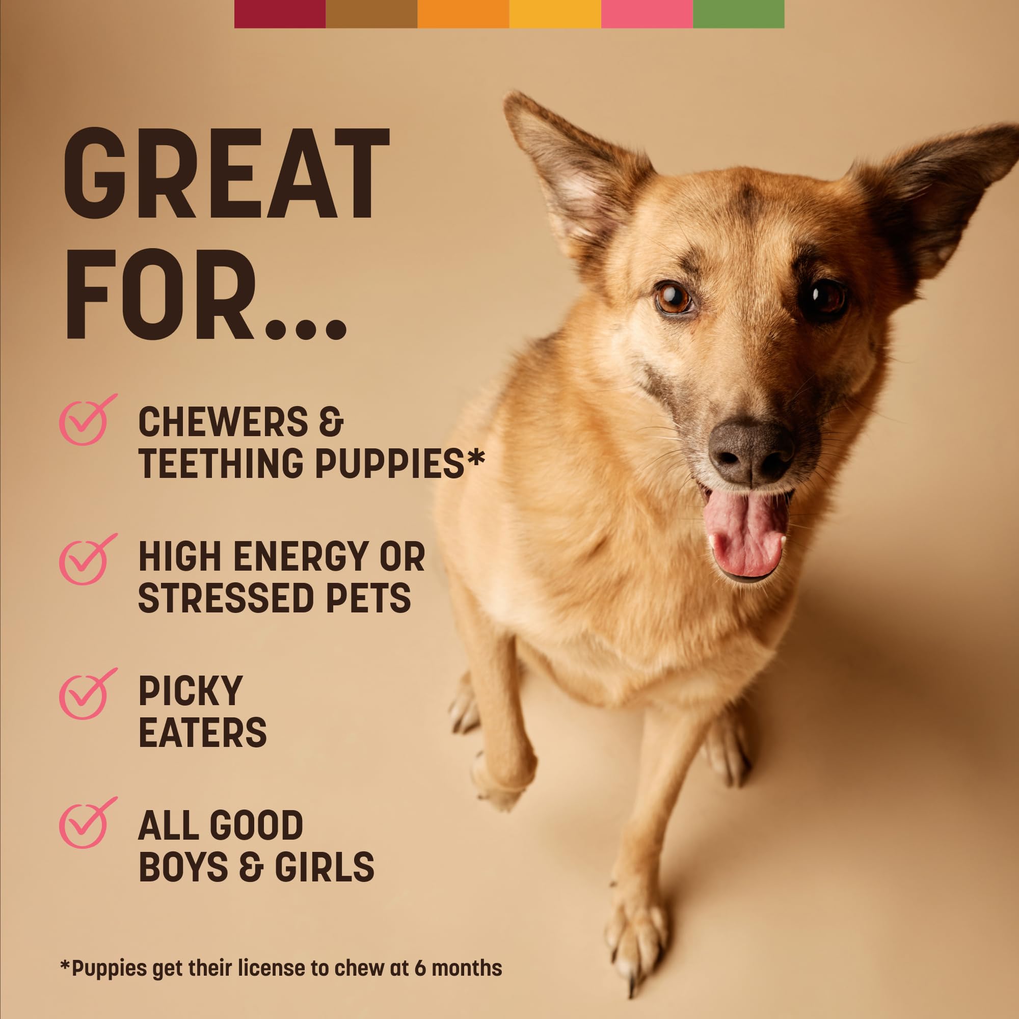 Earth Animal No-Hide Strips Salmon Recipe Natural Rawhide Alternative Dog Chew Treat, Value Pack 3.8 Oz