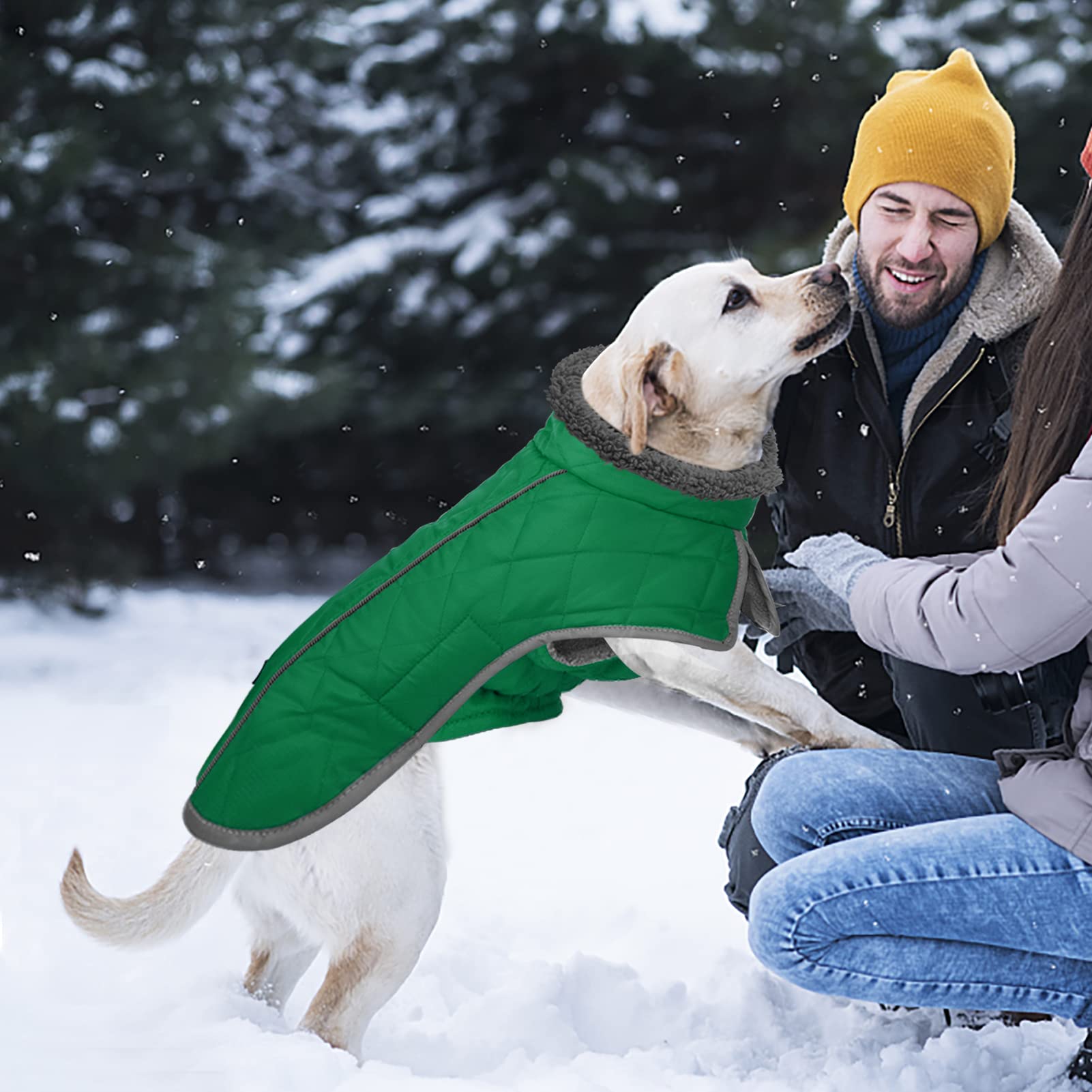 Fragralley Waterproof Dog Coat Small - Warm Fleece Lining, Adjustable Reflective Winter Jacket, Green, Model TC2011