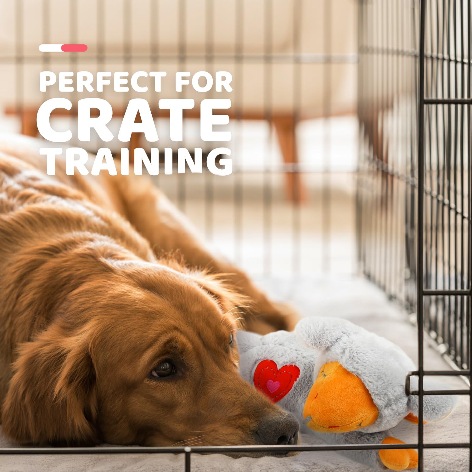 ALL FOR PAWS Heart Beat Dog Toy, Puppy Sleeping Buddy Cuddle Toy Dog Soothing Plush Toy, Crate Training Puppy Stuffed Animal Gif