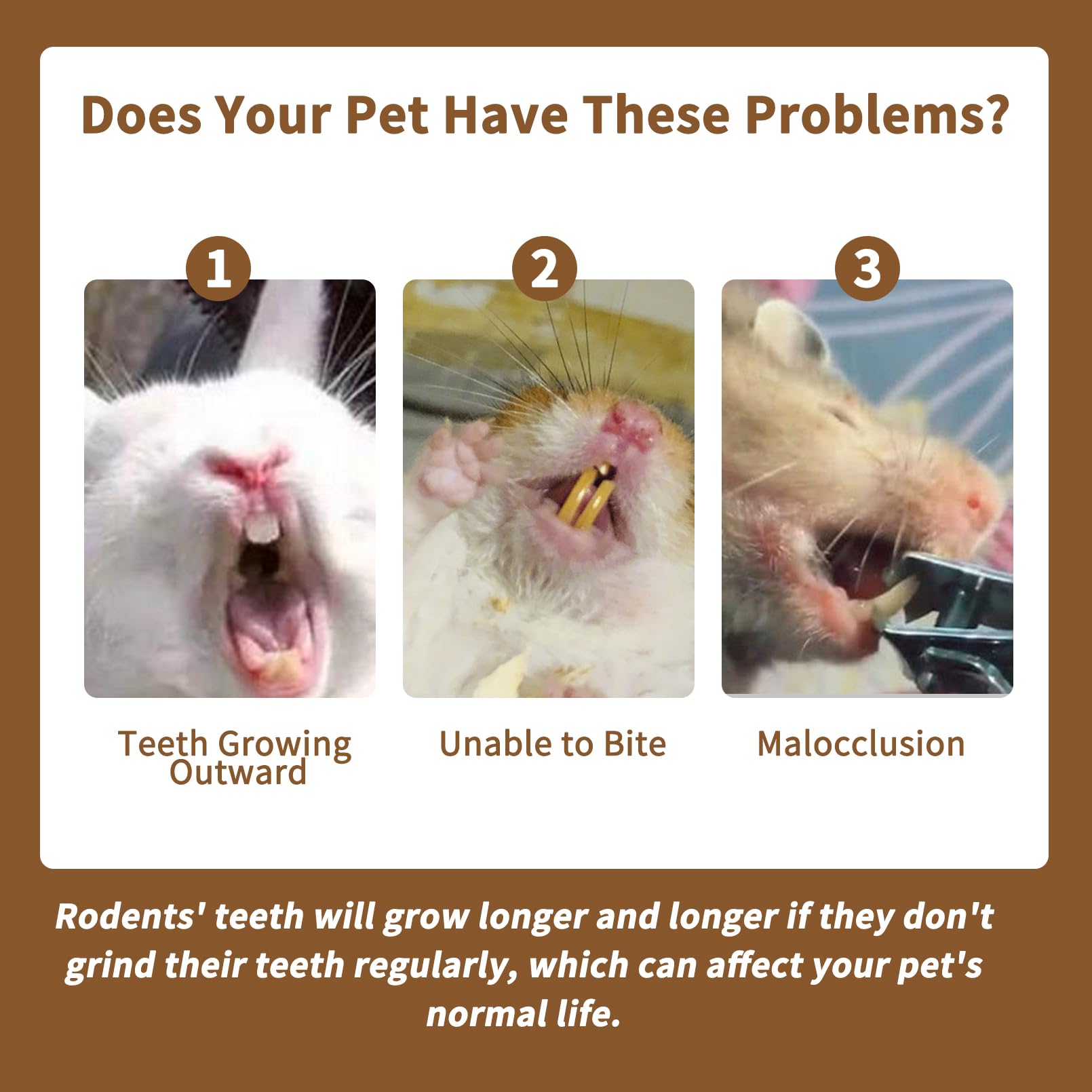 Fhiny 12 Pcs Rabbit Chew Sticks, Natural Papaya Wood Seagrass Guinea Pig Chew Toys For Teeth Small Animal Molar Sticks Snacks Fo