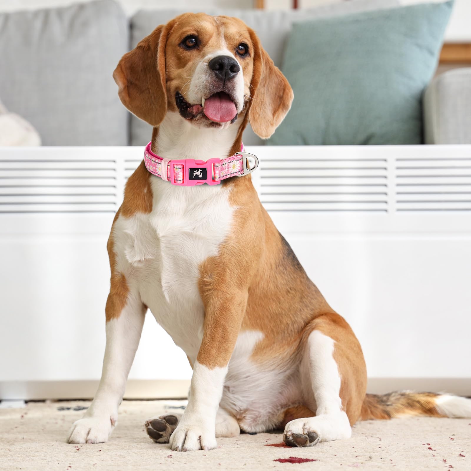 Onefojojo Reflective Dog Collar For Extra Large Dogs, Cute Pink Daisy Collar For Female Girl Small Medium Large Dogs(Daisy Xl)