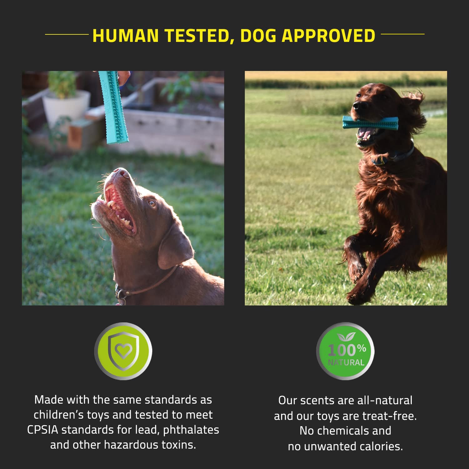 Playology Silver Dental Chew Stick Dog Toy, Medium - Designed for Senior Dogs (15-35lbs) - Engaging All-Natural Peanut Butter Sc