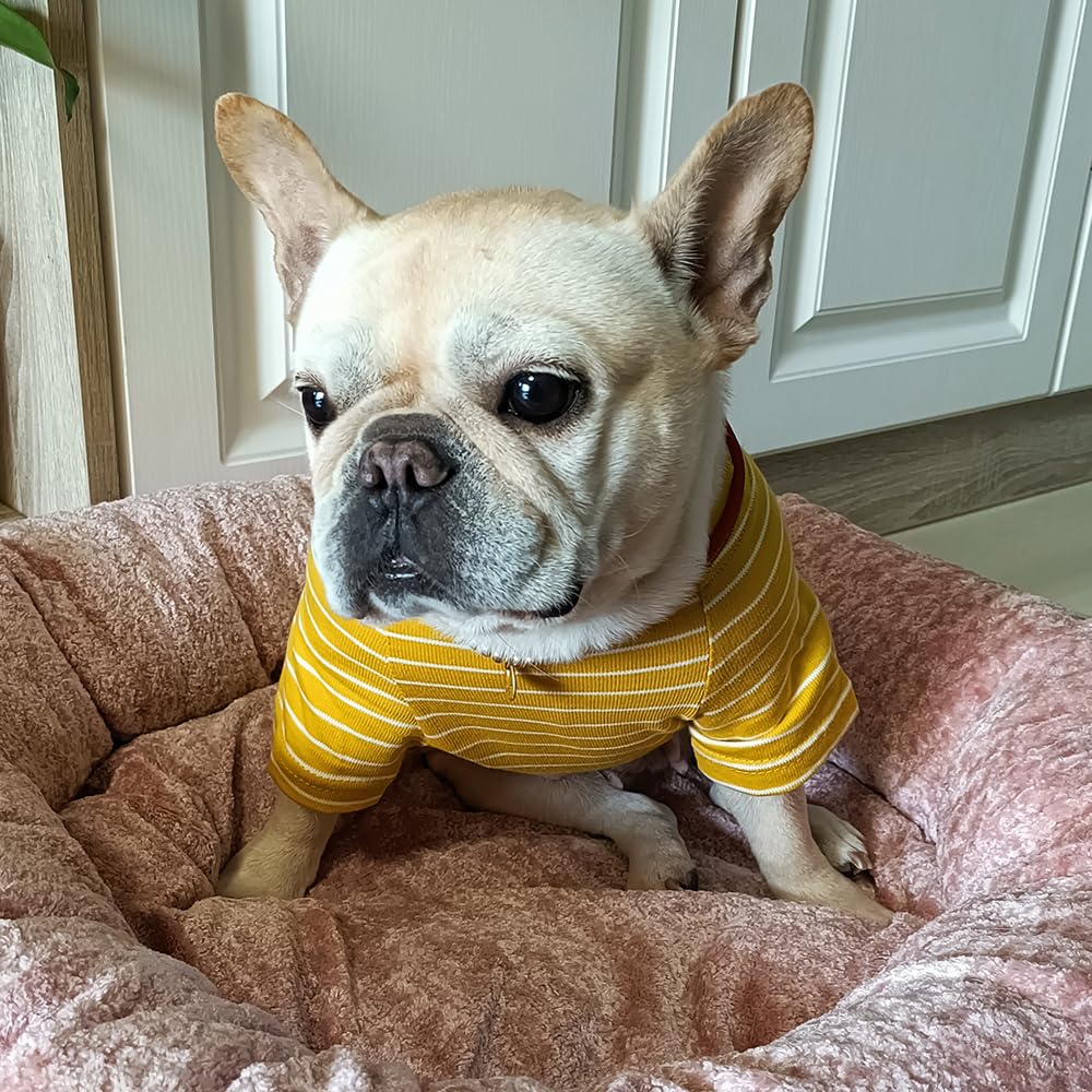 Dog Shirts For Small Dogs, 100% Cotton French Bulldog Clothes, Striped Girl Boy Pet Apparel, Matching Owner Outfit Sold Separate