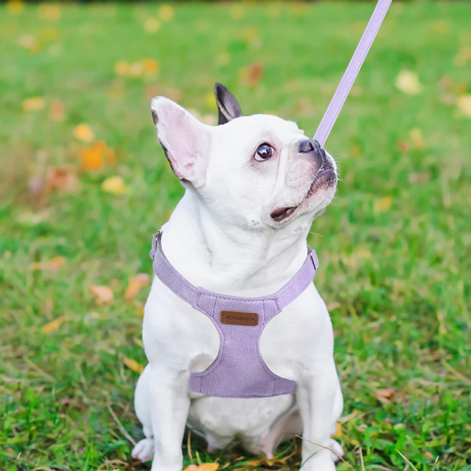 Dog Harness And Leash Set, Xxs No Pull Adjustable Puppy Harness With Multifunction Purple Dog Leash And Collar, Soft No Choke Es