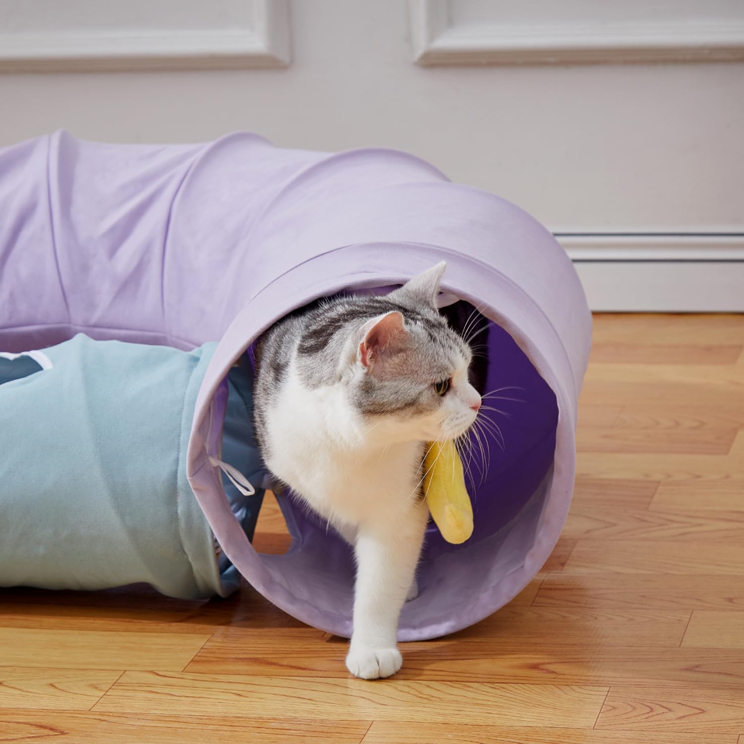 Paopo Cat Tunnel,Cat Tunnels For Indoor Cats Collapsible Large Cat Tunnel Cute Cat Tunnel Toy For Cat,Kitten,Puppy,Rabbit,Purple