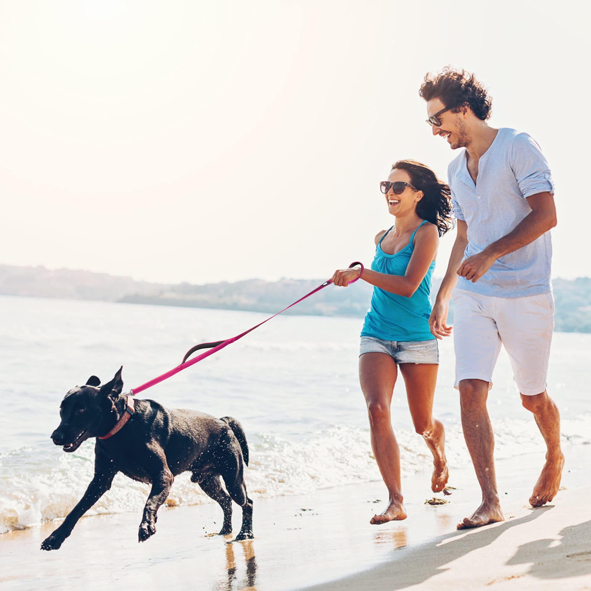 Fida 5 Ft Heavy Duty Dog Leash With 2 Comfortable Padded Handles, Traffic Handle & Advanced Easy Snap Hook, Reflective Walking Lead For Large, Medium & Small Breed Dogs, Pink
