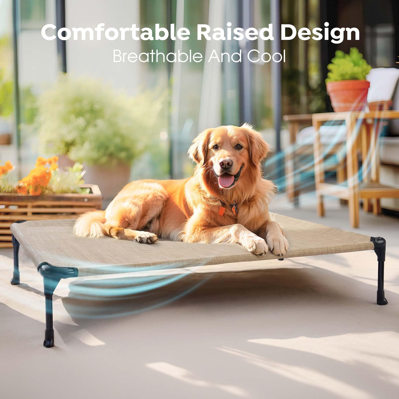 Veehoo Cooling Elevated Dog Bed, Portable Raised Pet Cot With Washable & Breathable Mesh, No-Slip Feet Durable Dog Cots Bed For Indoor & Outdoor Use, Medium, Cwc1803-M Beige Coffee