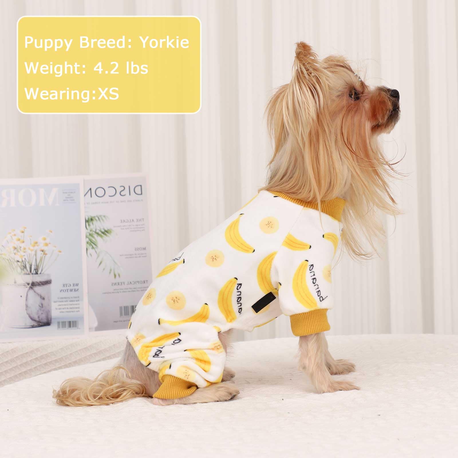 Kosiyi Dog Clothes for Small Dogs - Stretch Fleece Pajamas, Winter Spring Outfit, Lightweight Velvet Pet Jumpsuit, Pjs, Onesie A