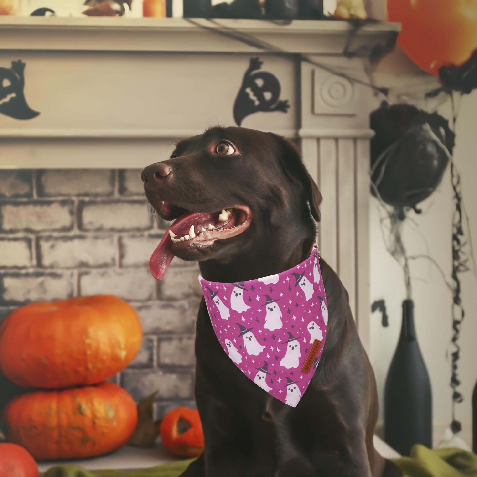 ADOGGYGO Halloween Dog Bandana, Pumpkin Ghost Pet Scarf, Premium Durable Fabric, Adjustable Fit Halloween Bandanas for X-Large D