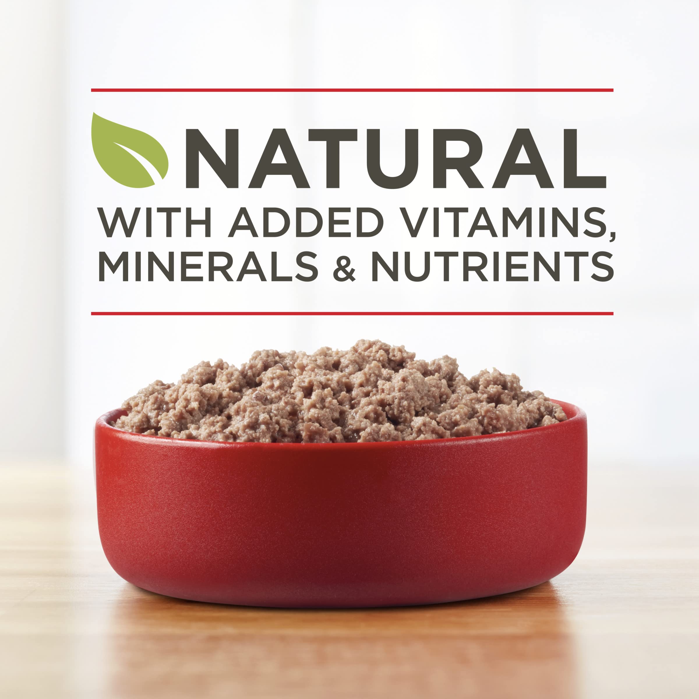 Purina ONE Wet Dog Food True Instinct Classic Ground Grain-Free Formula With Real Beef and Wild Caught Salmon High Protein Wet D