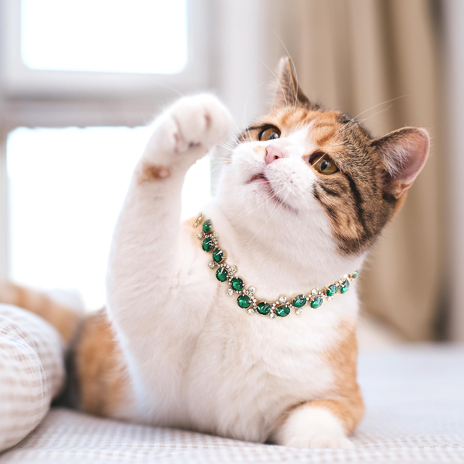 Howwfaly Dog Collar And Cat Collar Gold Chain Necklace Stainless Steel Adjustable Green Rhinestones Collar With Cute Pet Paw For