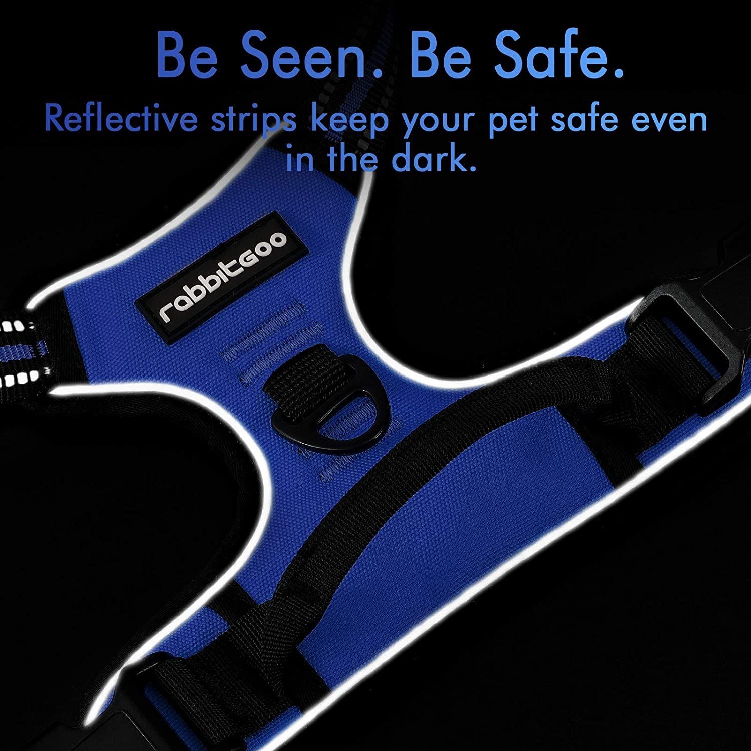 Rabbitgoo Dog Harness, No-Pull Pet Harness With 2 Leash Clips, Adjustable Soft Padded Dog Vest, Reflective No-Choke Pet Oxford Vest With Easy Control Handle For Small Dogs, Dazzling Blue,Xs