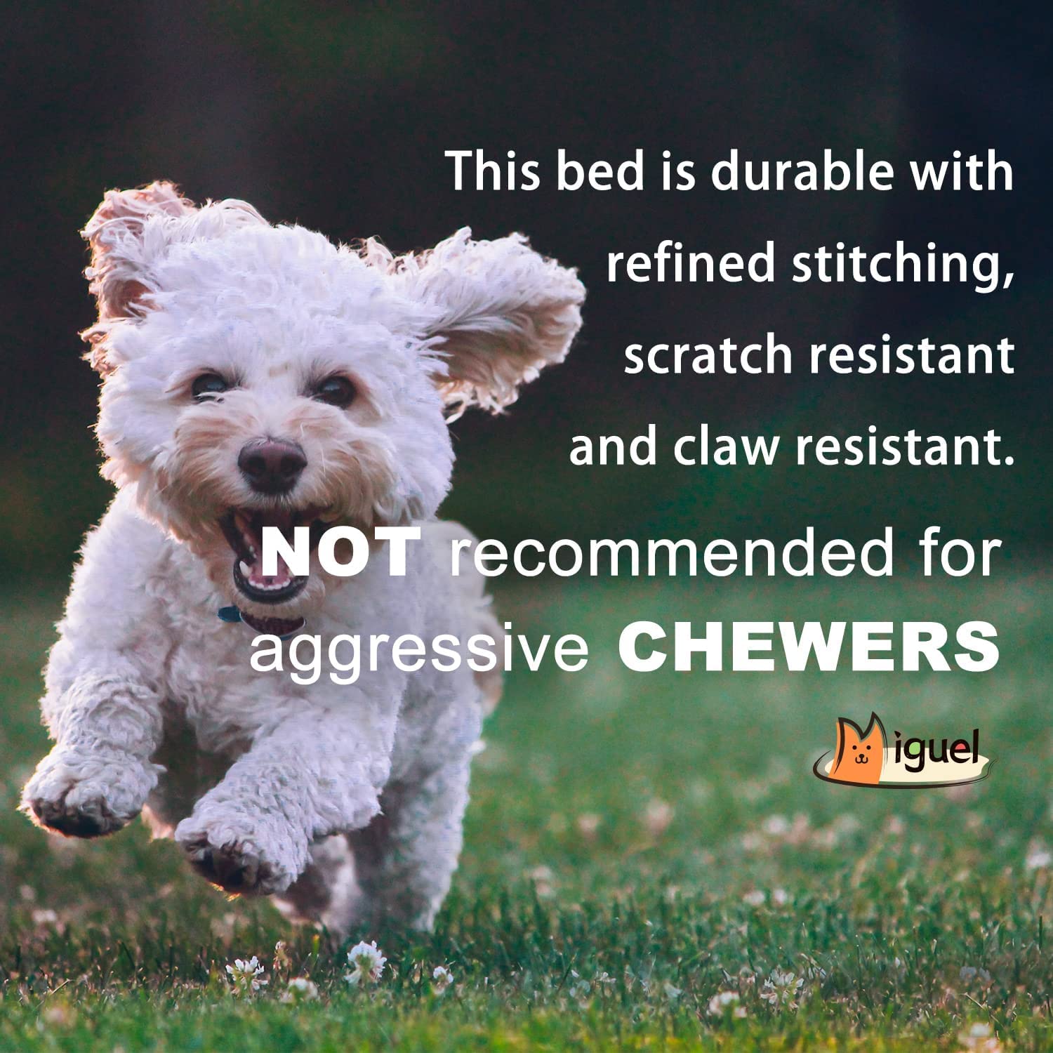 Miguel Outdoor Waterproof Dog Bed For Metal Dog Crates Water-Resistant Oxford All Weather Pet Mat Heavy Duty Durable Easy Clean Travel Indoor Outdoor Puppy Bed(42Inch Dog Bed Dog Crate,Gray)