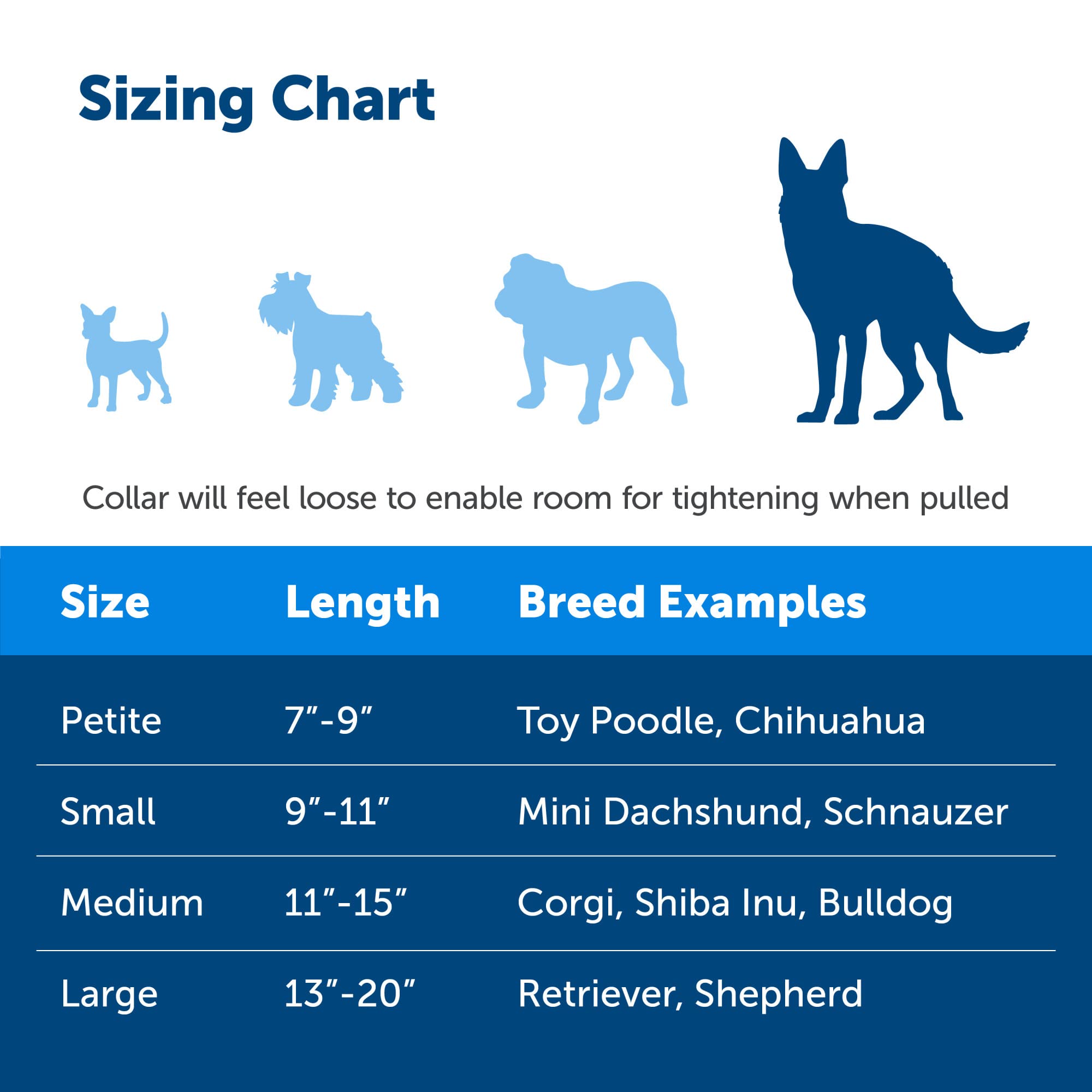 Petsafe Martingale Dog Collar With Quick-Snap Buckle - Large, 1 Inch, Royal Blue