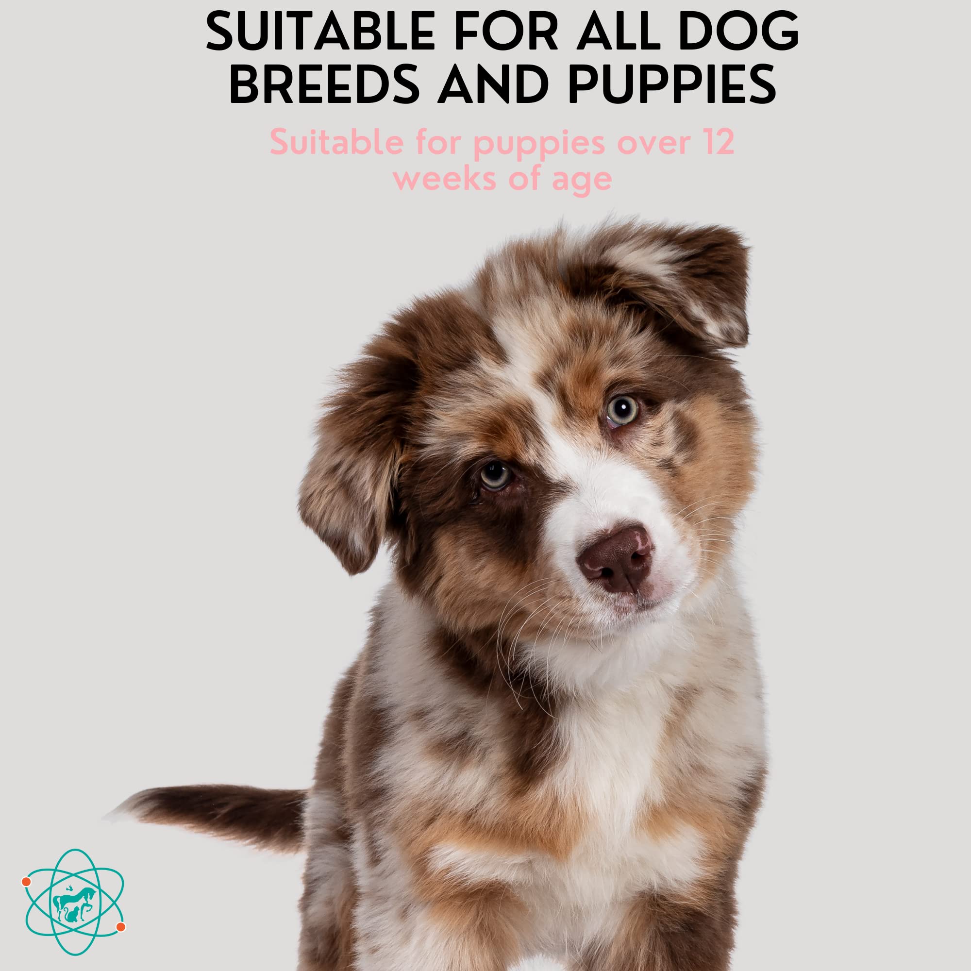 Pet Care Sciences 8 Fl Oz Tearless Puppy Shampoo And Conditioner - Anti Itch Dog Shampoo Sensitive Skin - Coconut Oil Oatmeal Pet Shampoo For Puppies