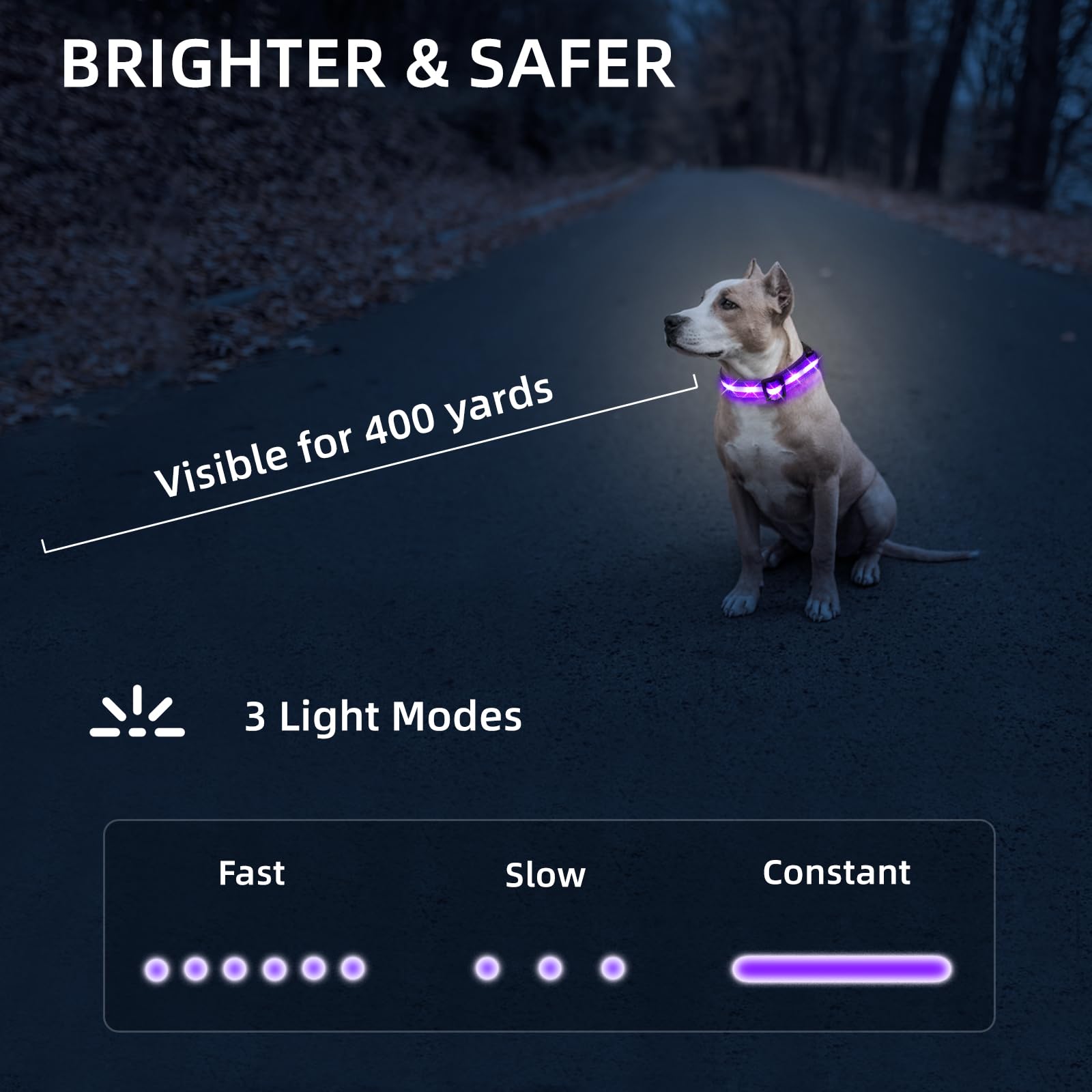 LED Dog Collar for Small Dogs Cats - Fully Waterproof & Adjustable Glow Collar - USB-C Rechargeable for Night Walking, Safety -