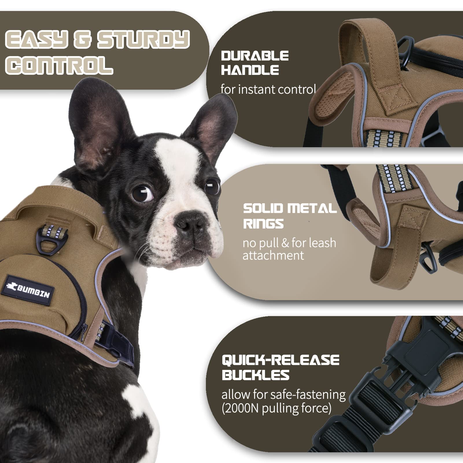 No Pull Dog Harness for Medium Dogs, Adjustable No Choke Pet Vest with Dog Leash Fit Smart Reflective Pet Walking Harness for Tr