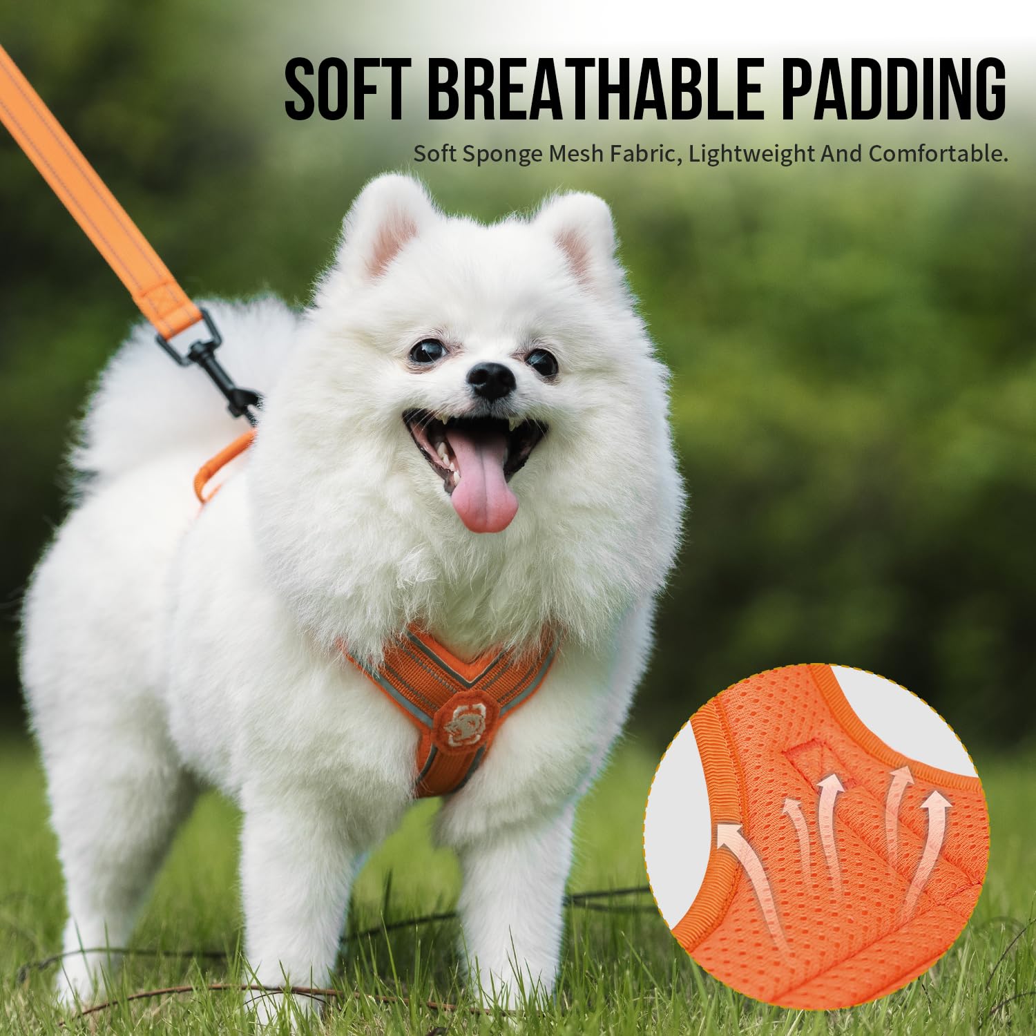 Onetigris Orange Small Medium Dog Harness & Leash Set, Tactical/Sporty, No Pull, No Escape, High Visibility, Orange, Xxs