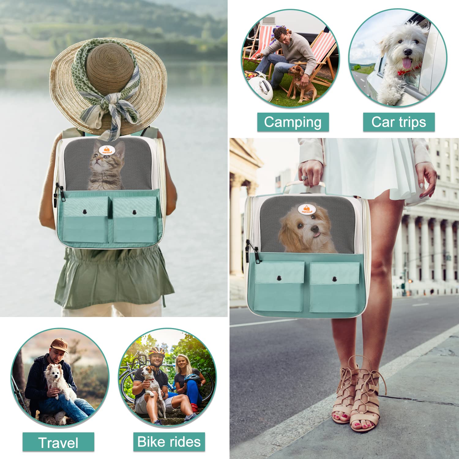 Top Tasta Cat Backpack Carrier, Airline Approved, Ventilated Design, Breathable Mesh For Small Cats And Dogs For Hiking And Camping, Carry Up To 25 Pounds (Light Blue)