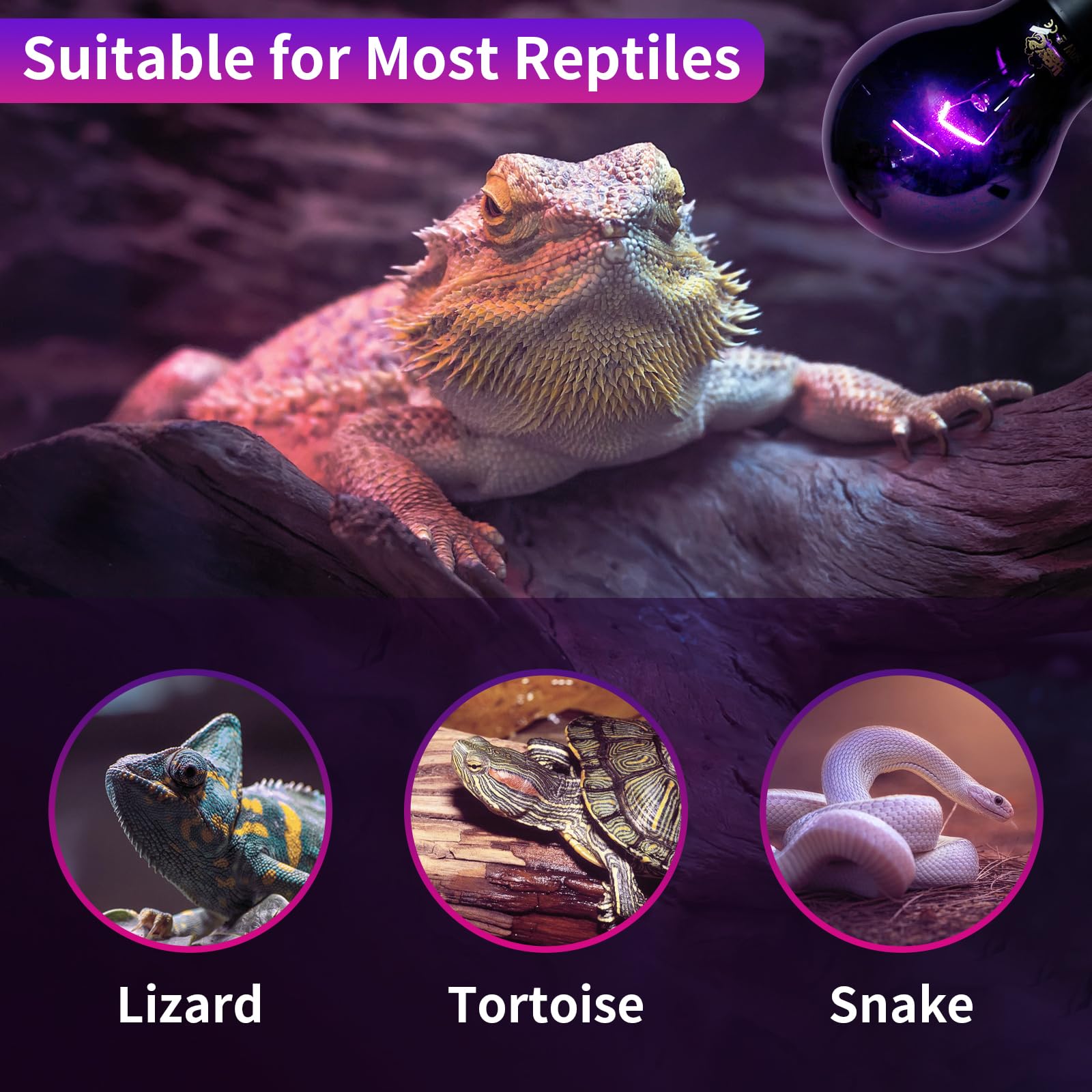 LUCKY HERP Reptile Heat Lamp 75W 2 Pack, Reptile Night Heat Bulb, Reptiles & Amphibians Basking Spot Light Bulb for Bearded Drag