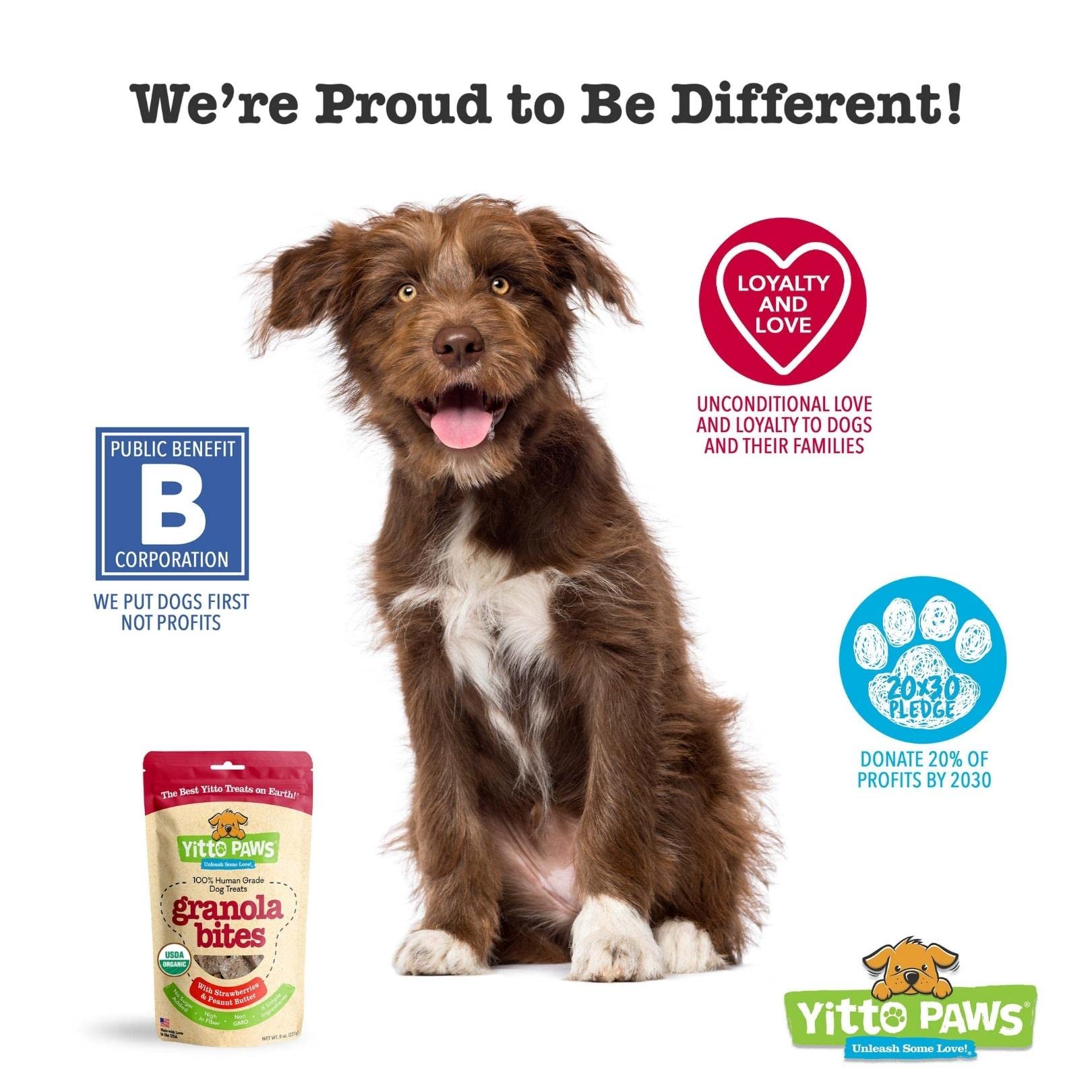 Crunchy Organic Peanut Butter Dog Treats, Strawberry & Oats Healthy Dog Treats, Vegan All Natural Dog Training Treats Made in US