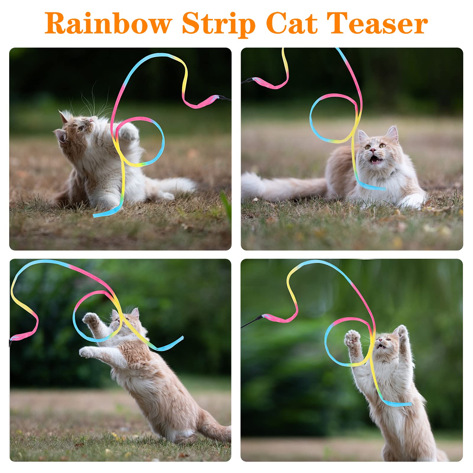 Molain Cat Wand Rainbow Toy, 3Pcs Rainbow Ribbon Cat Wand For Kittens Training Rainbow Ribbon Cat Interactive Catcher Wand Stick Toy For Kitten Cat Indoor Exerciser Playing(30Cm)
