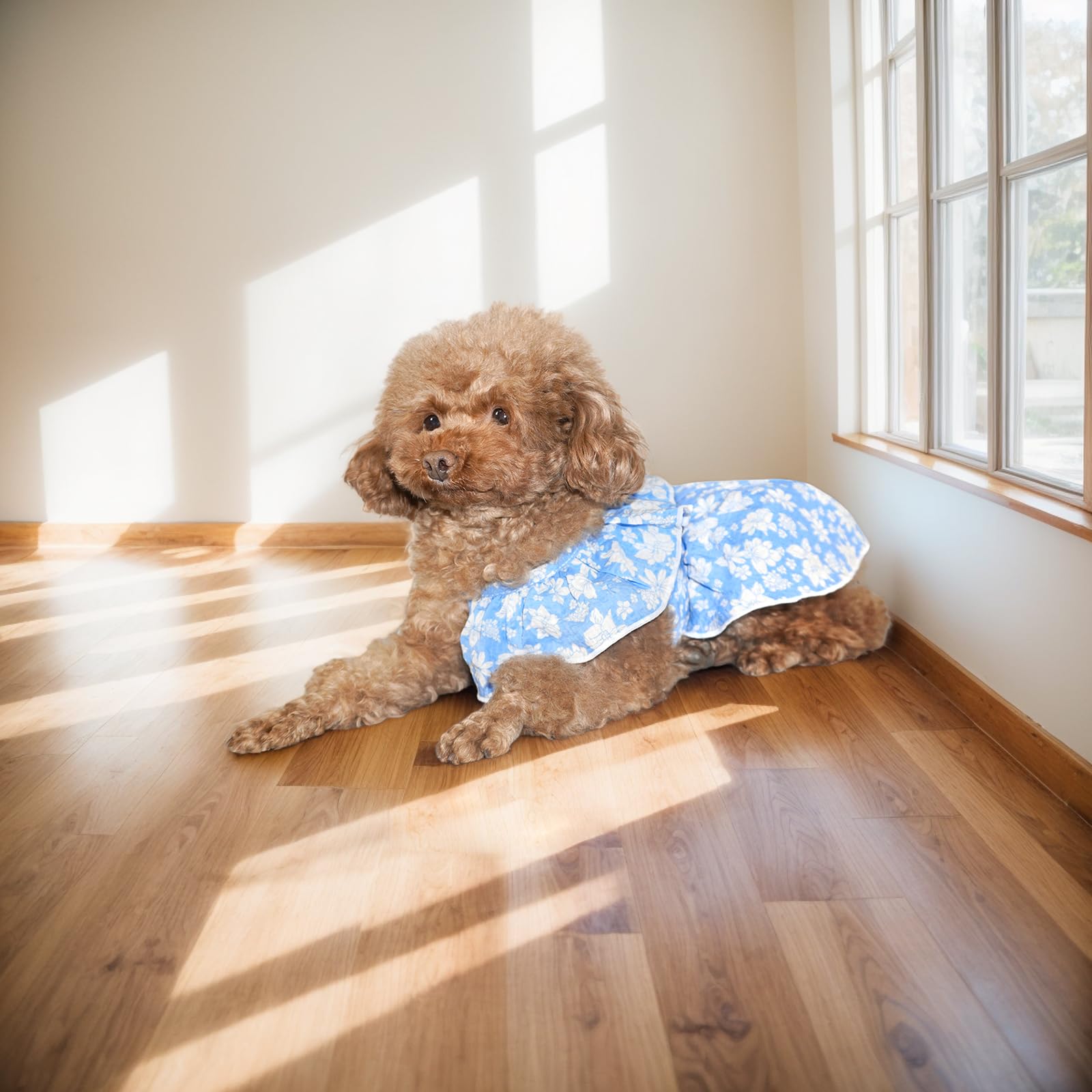 Topkins Dog Dress, Dog Evening Dresses With Lace-Up, Cute Dogs Sundress With Pretty Prints For Small Dogs (Blue, M)