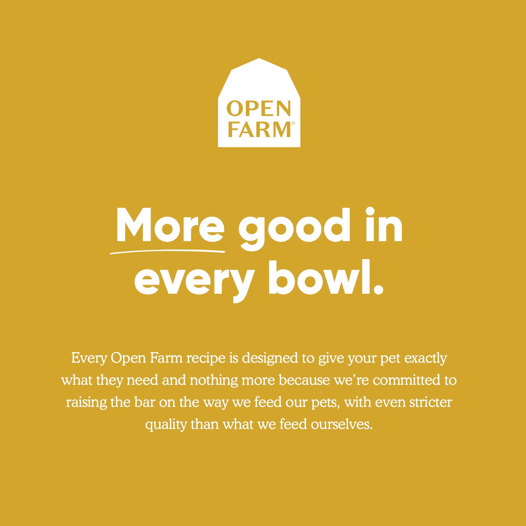 Open Farm Harvest Chicken Rustic Stew Wet Dog Food, Grain-Free Meal or Food Topper with Responsibly Sourced Meat and Superfoods