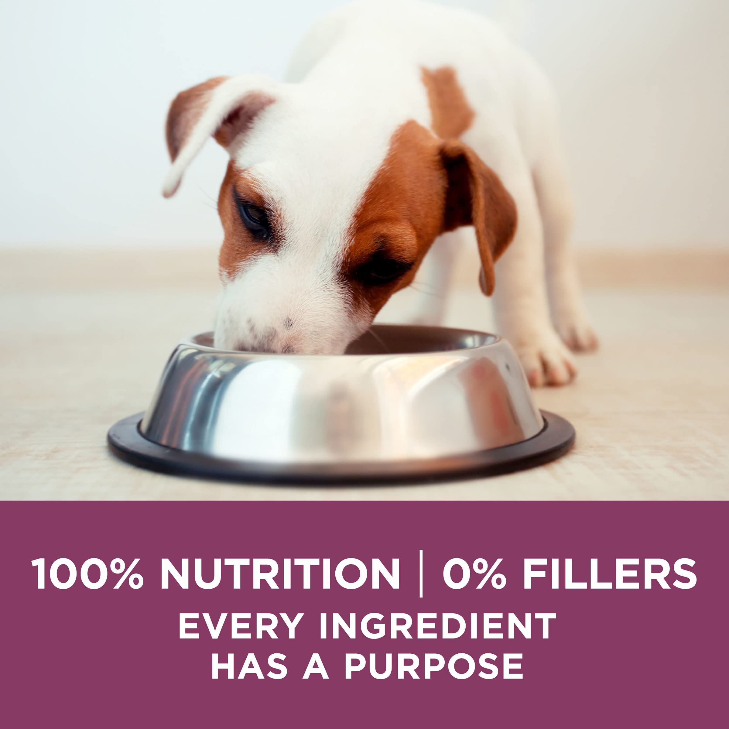Purina ONE Plus Healthy Puppy Formula High Protein Natural Dry Puppy Food with added vitamins, minerals and nutrients - (Pack of