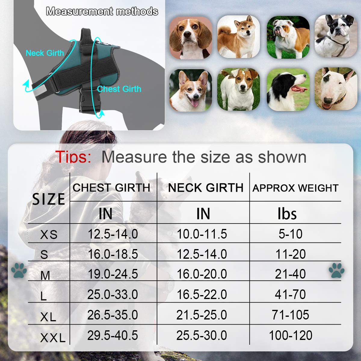 Bolux Dog Harness, No-Pull Reflective Dog Vest, Breathable Adjustable Pet Harness With Handle For Outdoor Walking - No More Pulling, Tugging Or Choking (Turquoise, M)