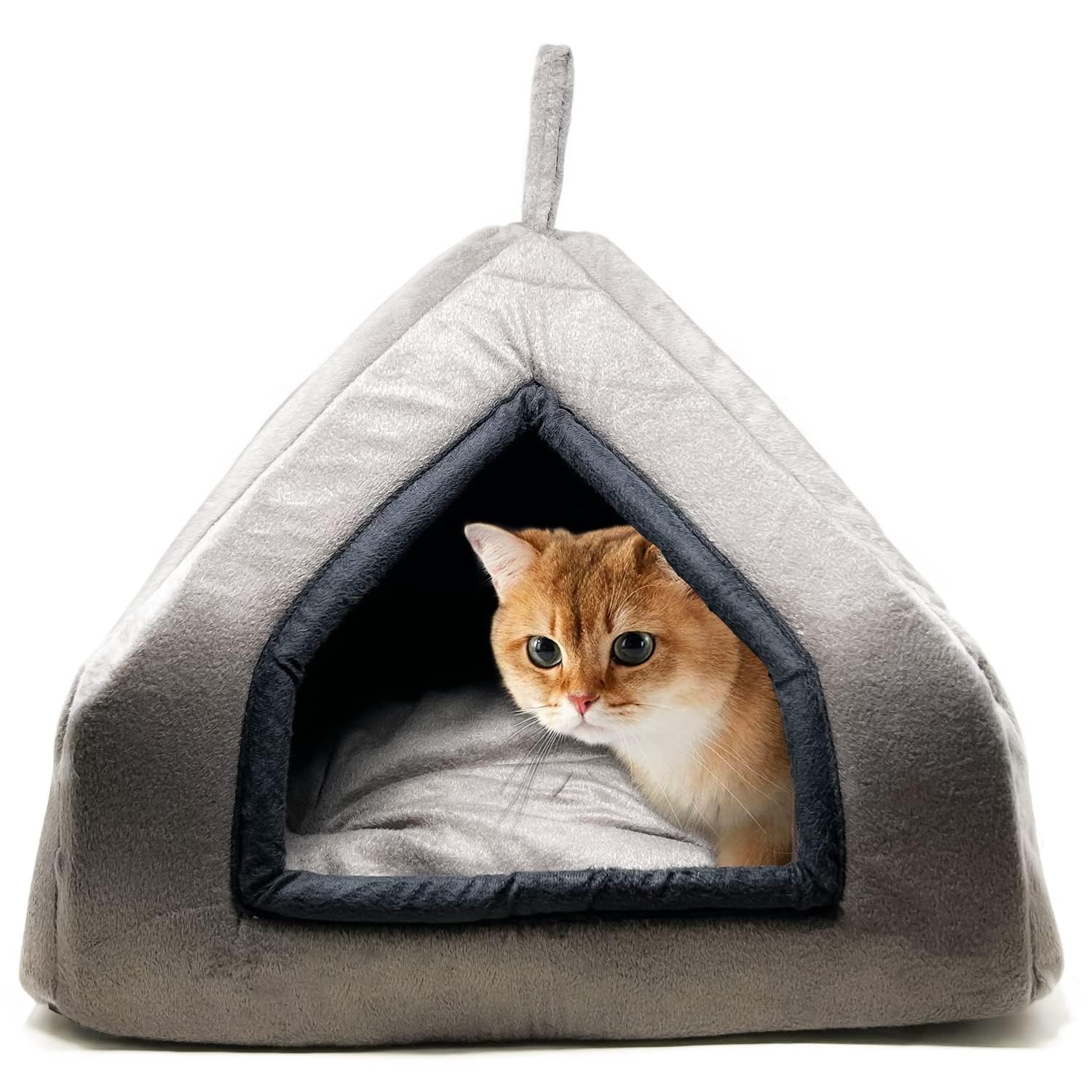 AMICA Premium Soft Velvet Fabric Bed for Cats Kittens & Suitable for Dog Puppies Pet House (S, Grey)