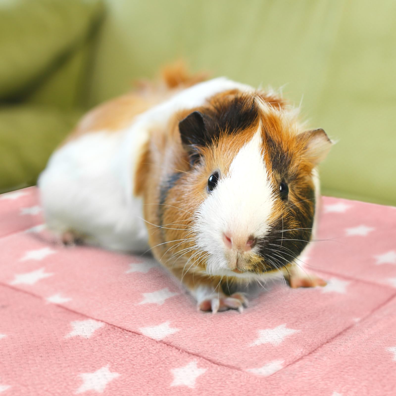 Tierecare 3Pcs Guinea Pig Bed Soft Rabbit Bedding Cage Liner Warm Bunny Mats Pee Pads Fleece Blanket Plush Hamster Sleep Beds Fe