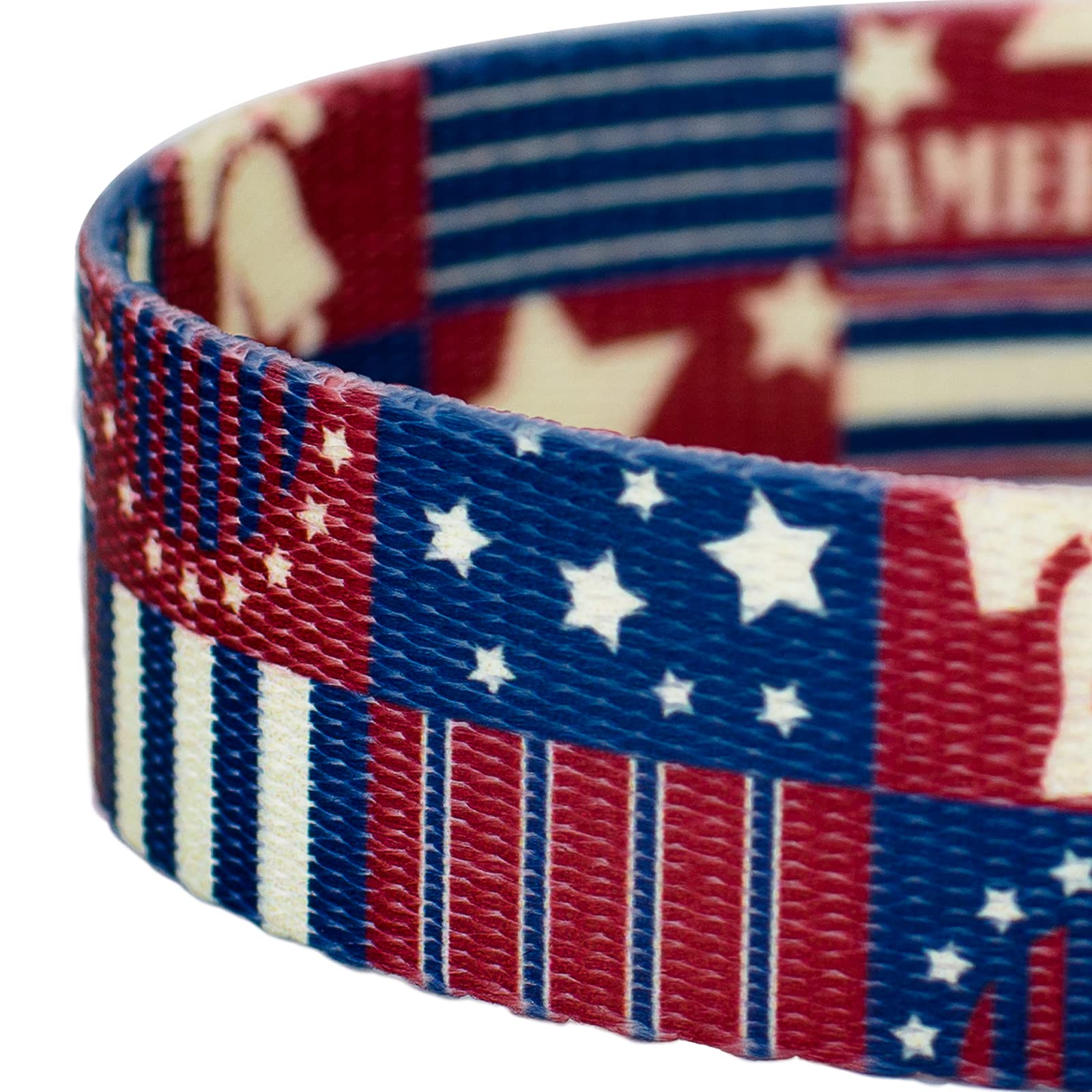 Country Brook Petz - Spirit of 76 Dog Leash - American Pride Collection Featuring Patriotic Designs (6 Foot, 1 Inch Wide)