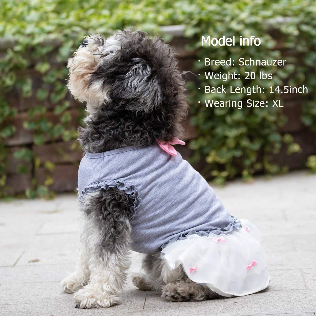 Kyeese Dogs Dress Grey With Pink Bowtie Pet Puppy Clothes For Small Dogs Skirt Dog Clothes