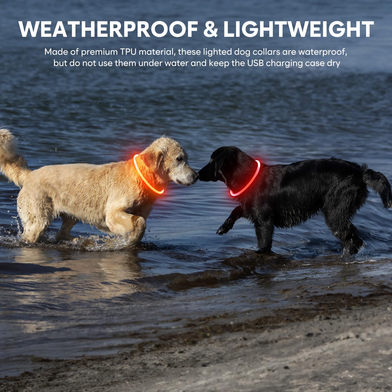 Domagiker Lighted Dog Collar - Waterproof Puppy Collar Light Rechargeable, High Visibility Glowing Dog Lights For Night Walking