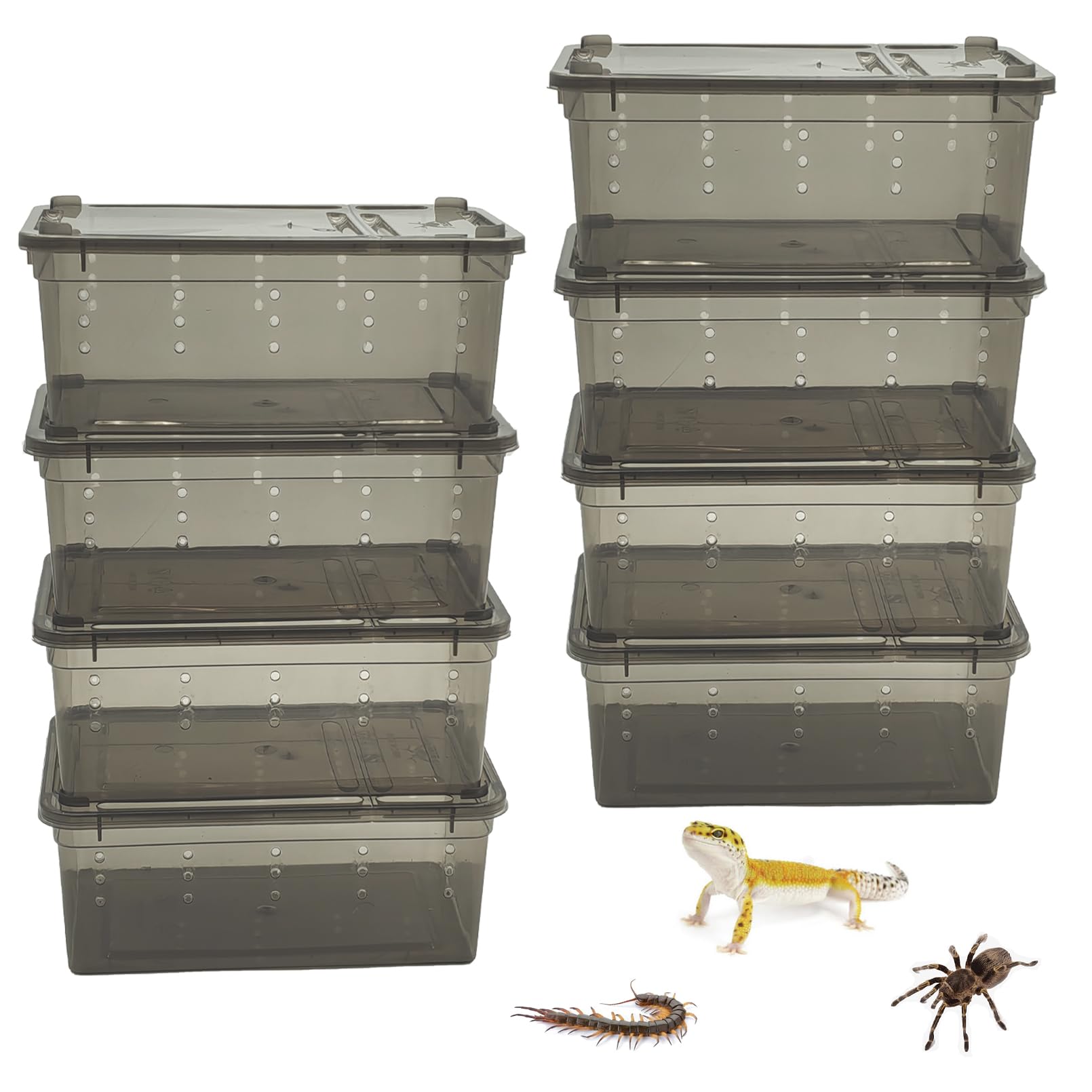 PINVNBY 8 PCS Reptile Feeding Box Portable Snake Breeding Box Lizard Cage Hatching Container 7.48x4.92x2.95 Transparent Plastic 