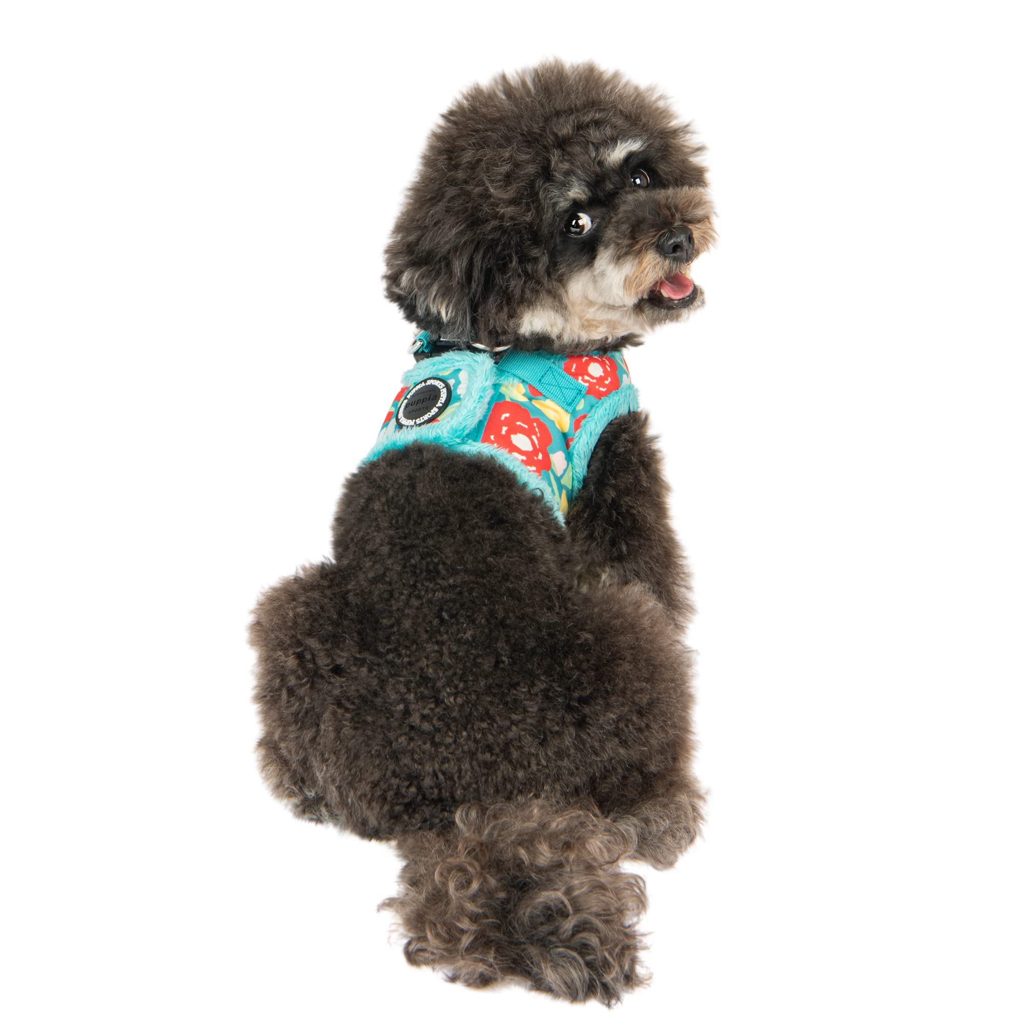 Puppia Alyssa Vest Dog Harness Step-In Warm Winter Flower Pattern For Small And Medium Dog, Aqua, Medium