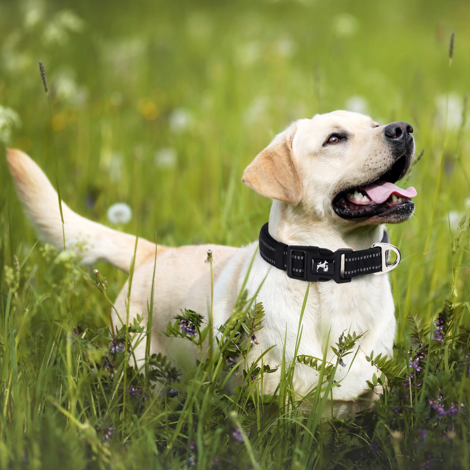 Onefojojo Reflective Dog Collar For Large Dogs, Adjustable Soft Breathable Comfortable Nylon Pet Collar For Medium Large Extra L