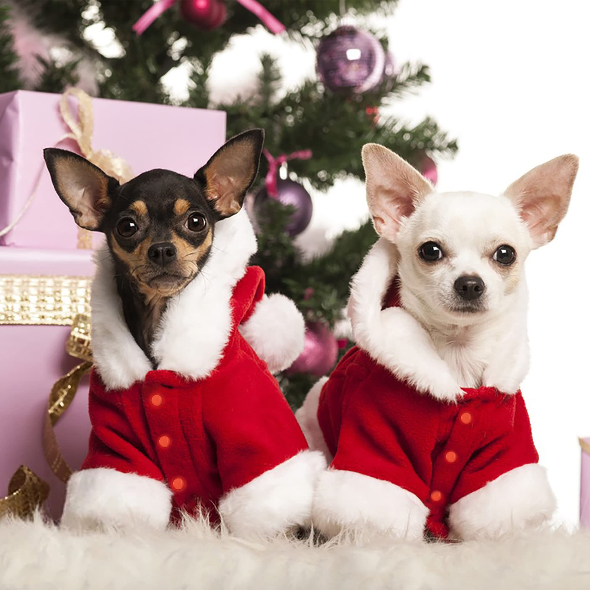 Pet Christmas Costumes Santa Dog Clothes For Small Dogs Boys Fall Winter Coats Puppy Kitty Hoodies