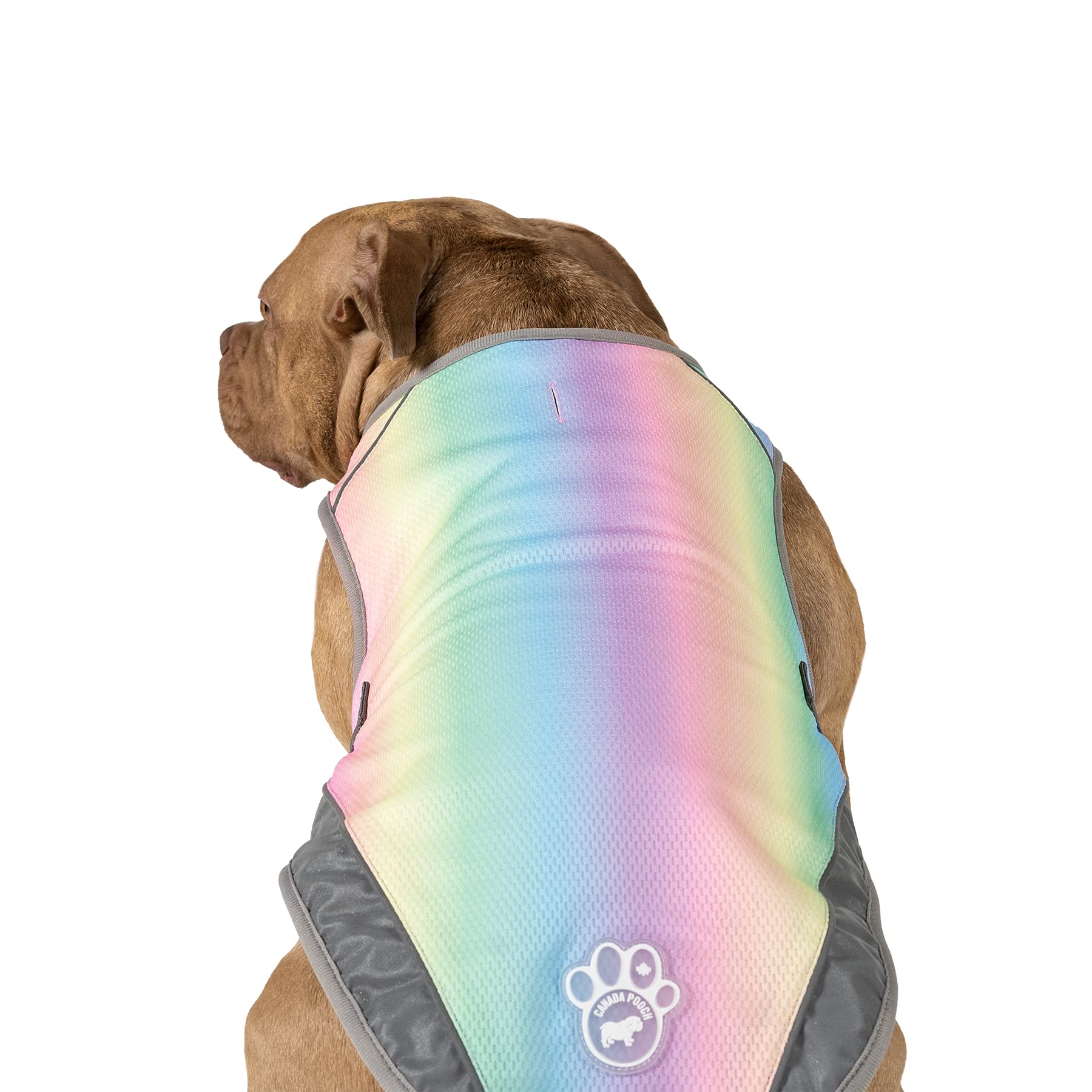 Canada Pooch Dog Cooling Vest - Evaporative Cooling Vest For Dogs With Breathable Mesh Material & Reflective Lining, Adjustable For Dogs 8 (7-9' Back Length), Rainbow