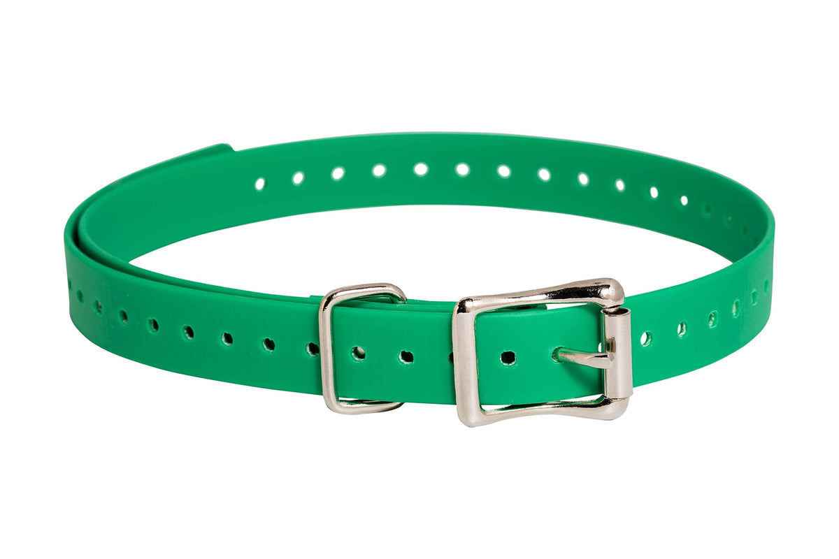 Sportdog Brand 3/4 Inch Collar Straps - Waterproof And Rustproof - Tighlty Spaced Holes For Proper Fit - Green