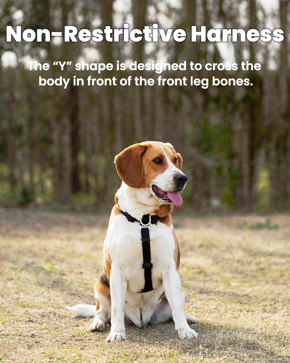 Lufelux Non-Restrictive Easy Walk Freedom No Pull Dog Harness, Keep Balance, Neck-Buckle, Six Points Adjustment, 2 Leash Clips F