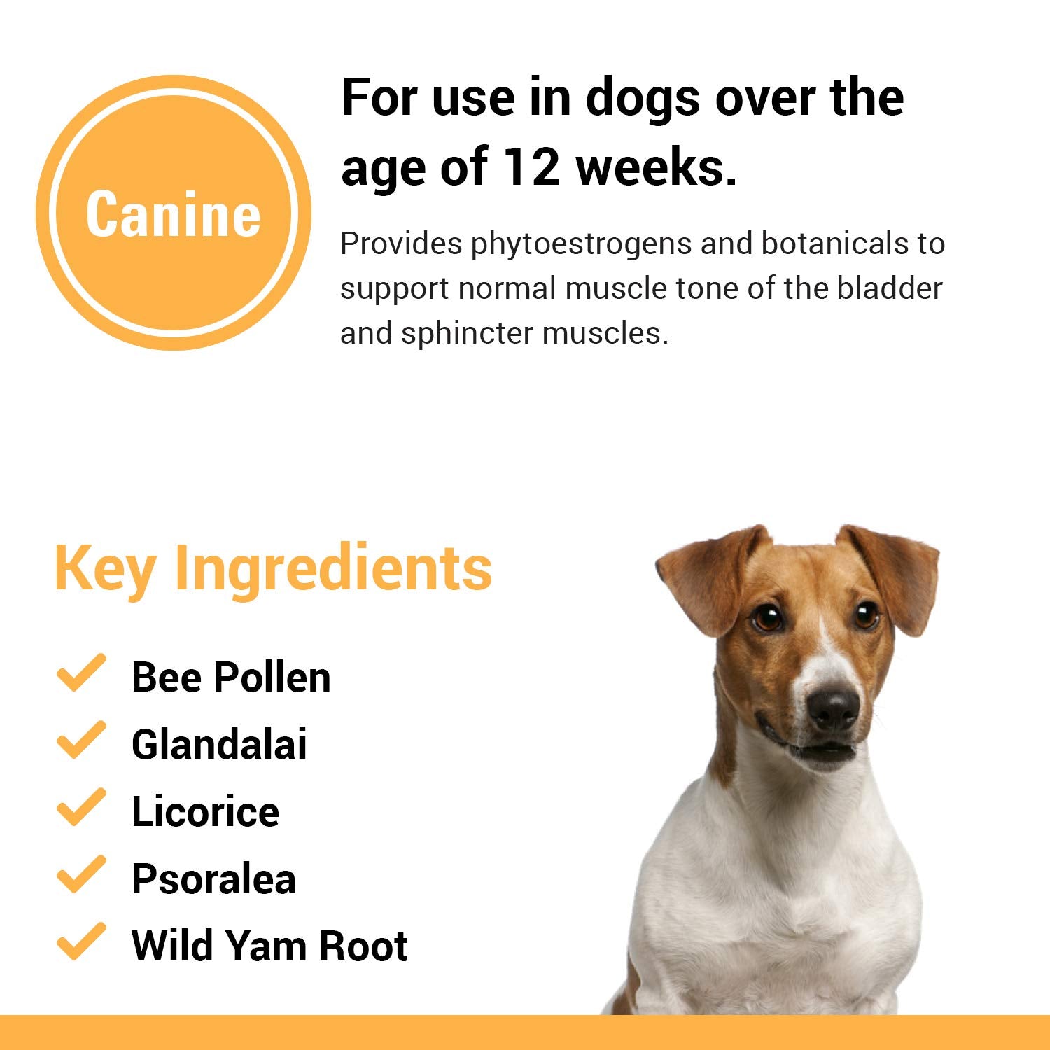 Vet Classics Bladder, Incontinence Support Dog Supplement - Supports Bladder Health for Dogs, Helps With Pet Incontinence - Incl