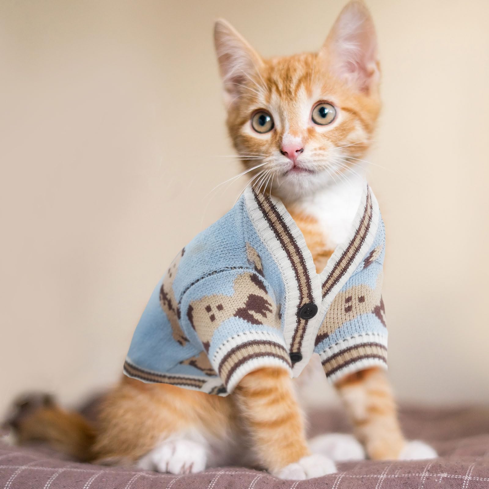 Abrrlo Small Sweaters Cute Bear Cardigans For Small Medium Dogs Boy Girl Puppy Cat Knitting Outfits Winter Coats Warm Pet Clothe