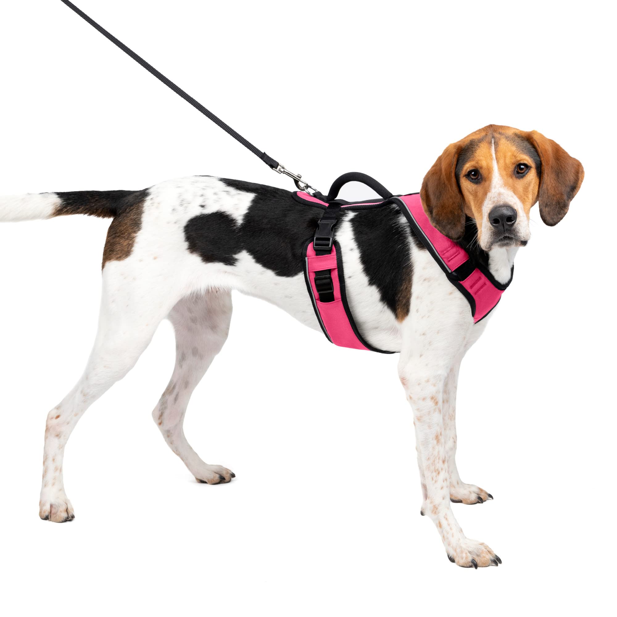 Petsafe Easysport Dog Harness – Adjustable, Padded Dog Harness With Control Handle And Reflective Piping – Large, Pink
