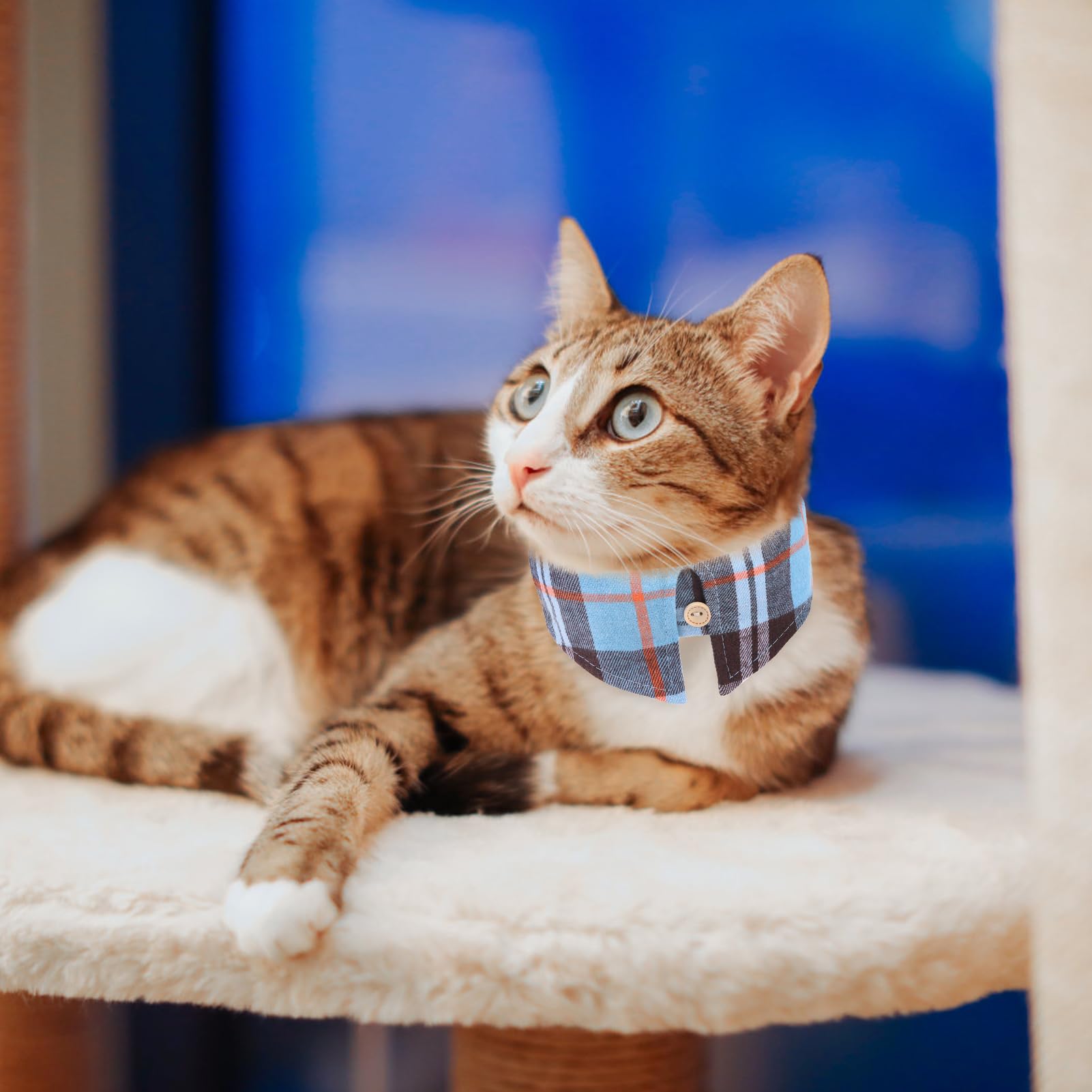 Expawlorer Puppy Collar And Leash Set - Plaid Dog Collar With Bell, Adjustable For Small Dogs Cats, Skyblue X-Small