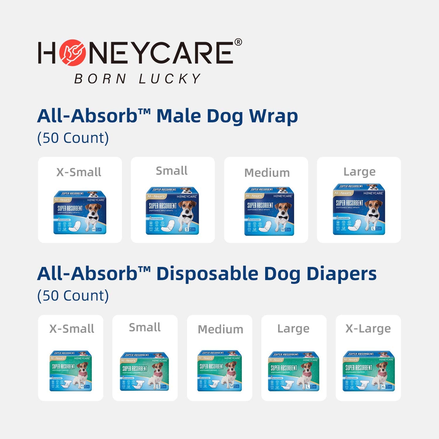 HONEY CARE All-Absorb Disposable Female Dog Diapers M Size, Improved Bigger Size, 36 Count, Super Absorbent, Breathable, Wetness