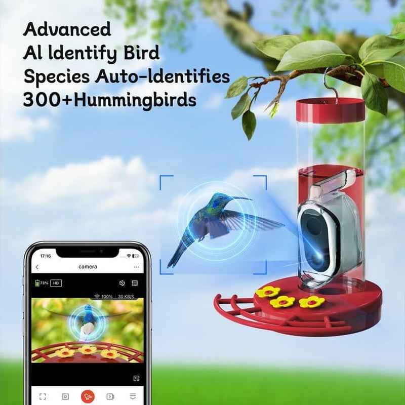 Solar WiFi Hummingbird Feeder Camera with AI Bird ID, 20 oz