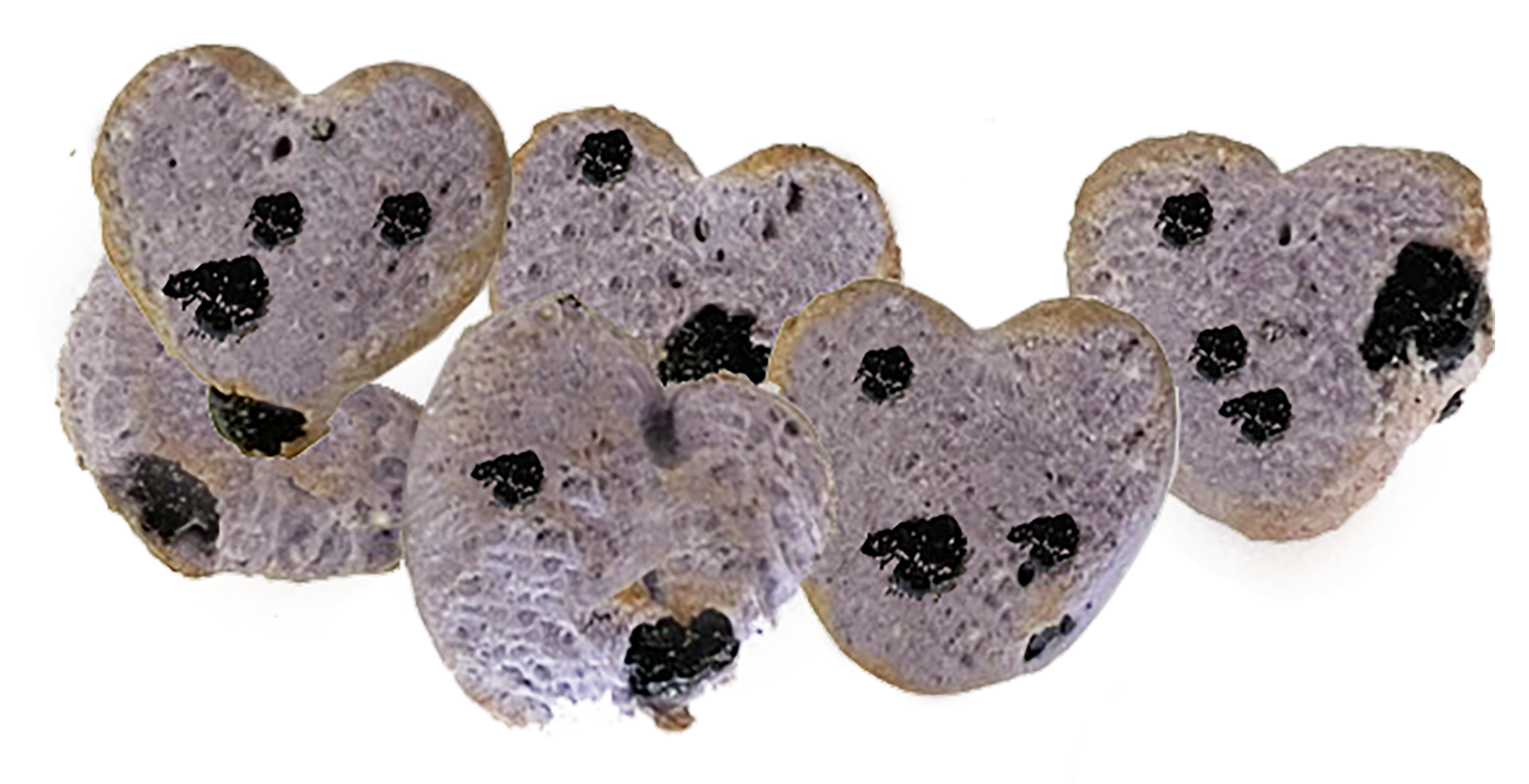 Much Loved Dog™ Blueberry Set